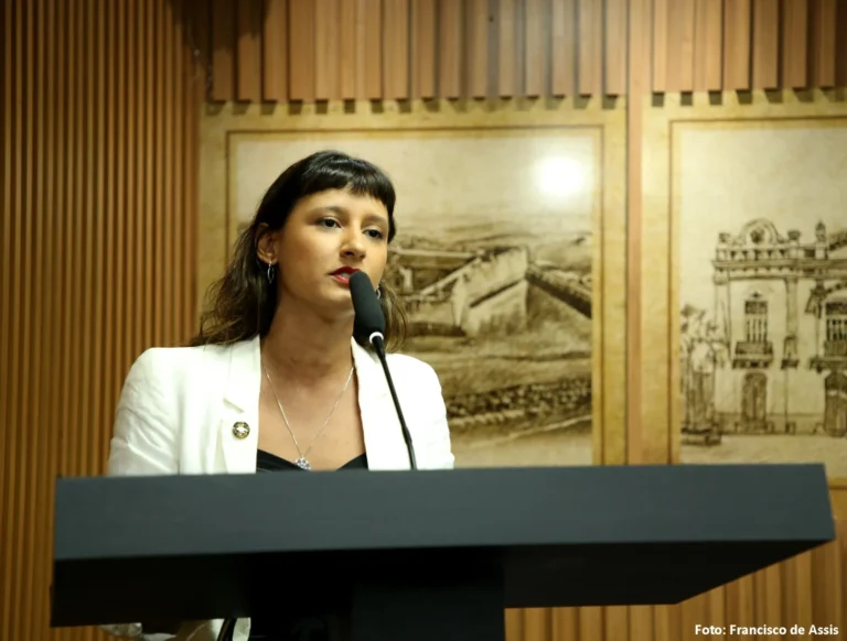 Relatório do processo de cassação de Brisa Bracchi é adiado para novembro