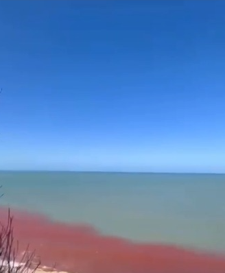 Idema investiga mancha avermelhada em praias de Tibau do Sul; suspeita é de “Maré Vermelha”